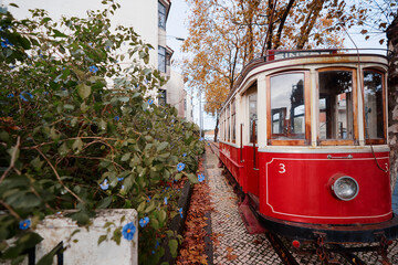 Old retro tram train. Attraction in Sintra, Portugal. - obrazy, fototapety, plakaty