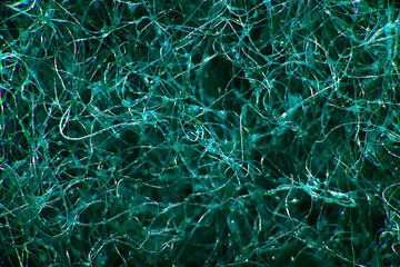abstract green macro background of a molecule