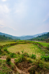 mountainside agriculture farming fields with cloudy sky at morning from flat angle