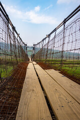 isolated old rusty iron suspension bridge with misty flat sky background at morning