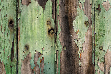 tekstura starego drewna z odchodzącą zieloną farbą - obrazy, fototapety, plakaty