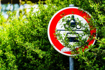 Fototapeta schowany znak drogowy za krzakami z zakazem wjazdu dla aut i motocykli obraz