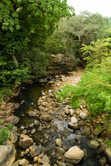 Wild tropical jungle creek with large boulders
