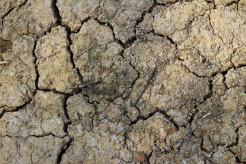 Texture of cracked dried soil. Dry ground with cracks. Climate change and global warming on Earth.