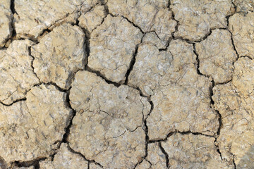 Texture of cracked dried soil. Dry ground with cracks. Climate change and global warming on Earth.