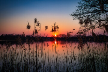 Sonnenuntergang Abendrot Schilff - Reed - Sunset - Sunrise over sea - - Zossen - Wünsdorf - Brandenburg - Deutschland - Teltow - Fläming © Enrico Obergefäll