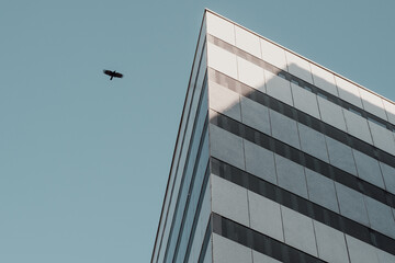 moderne Architekt Fassade mit Fenstern und Vogel