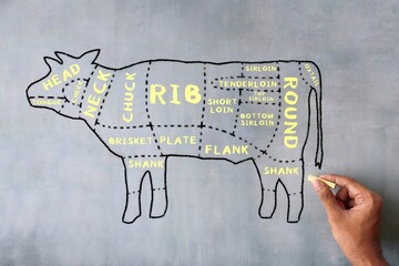 Hand drawn image of butcher beef cuts diagram on chalkboard.