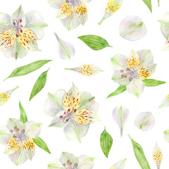 watercolor alstroemeria flowers seamless pattern on a white background. flowers, leaves and petals. - 503090917