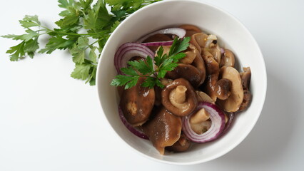 Salted mushrooms, Lactarius resimus, autumn harvest. Homemade pickled mushrooms, marinated red onion rings pepper, garlic, and bay leaf. Salted Lactarius resimus with oil and fresh chopped dill