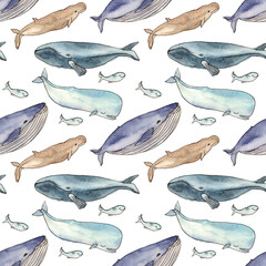 watercolor illustration whales family. hand drawing. seamless pattern on a white background - 503091358