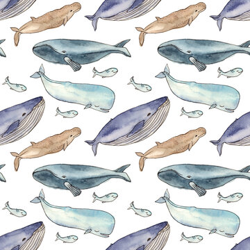 watercolor illustration whales family. hand drawing. seamless pattern on a white background