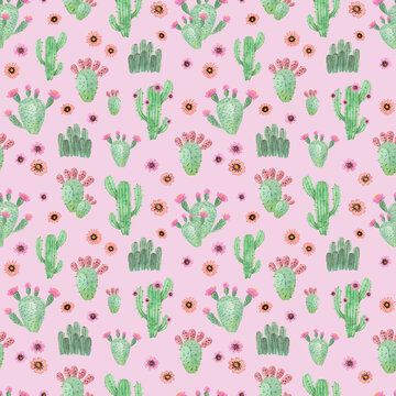 watercolor hand painted cactus. seamless pattern on a pink background