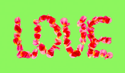 verbal inscription
 love with rose petals on green background