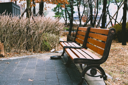 Bench