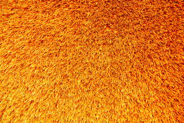 Background of orange texture of artificial grass cover, seamless background.