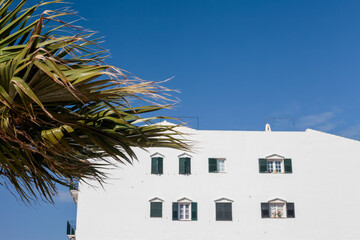 Fototapeta premium Great white house with a palm tree and a blue sky