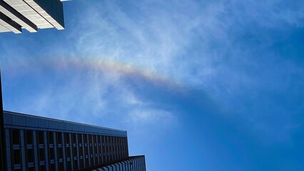 office building
office building
iridescent clouds
blue sky 
sky 
building 
city 
town 
beautiful cloud 
blue 
青空
青
彩雲
雲
晴れ
ビル
都会
街
ビジネス街