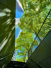 blue sky and tree
office building
tree 
green 
blue sky 
sky 
leaf 
building 
city 
town 
beautiful cloud 
blue 
青空
青
木
葉
緑
晴れ
ビル
都会
街
ビジネス街
階段
