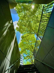 reflection
office building
green 
leaf 
blue sky 
sky 
building 
city 
town 
beautiful 
blue 
stairs 
青空
青
晴れ
ビル
都会
街
ビジネス街
階段