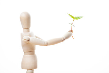 image of wooden figure plant white background