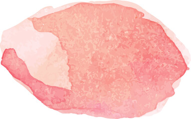 Peach brush stroke hand painted illustration. Watercolor background painted.