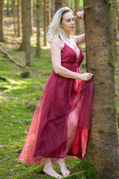 Beautiful woman wearing sexy gown in forest.