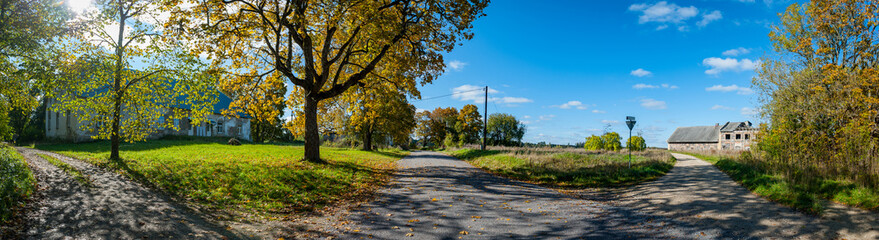 Crossroad of three directions in the countryside. Wide road passing through tall trees such as maple and linden. Concept of choice, decision making or direction. Panoramic photo.