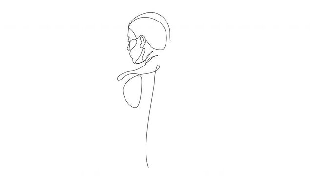 Self drawing animation of continuous line drawing female nude back. Abstract beautiful model art.
