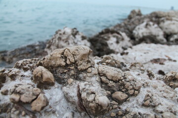 Sea rocks with distinctive shapes and colors