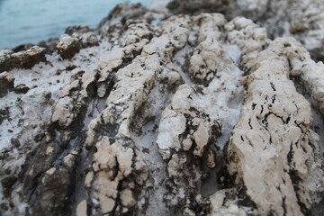 Natural cracks in the sea rocks, with their distinctive black and white color