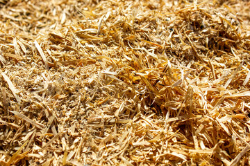 Sawdust close-up. A man takes sawdust in his hand.