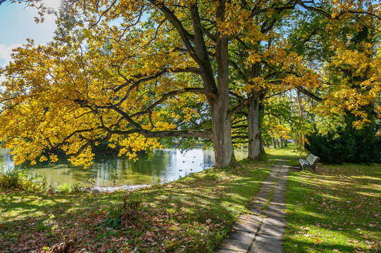 The manor park is famous for the oak tree personally planted by first president of the Republic of Estonia, Konstantin P&auml;ts. Kehtna manor in Rapla, Estonia.