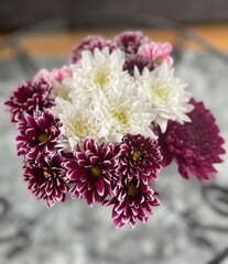 Purple and white chrysanthemums