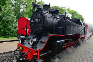 Fototapeta na wymiar Mecklenburgische Bäderbahn Molli