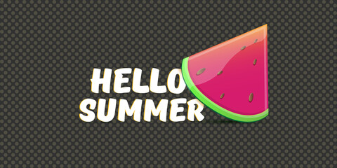Vector Hello Summer Beach Party horizontal banner Design template with fresh watermelon slice isolated on grey background. Hello summer concept label or poster with fruit and typographic text.