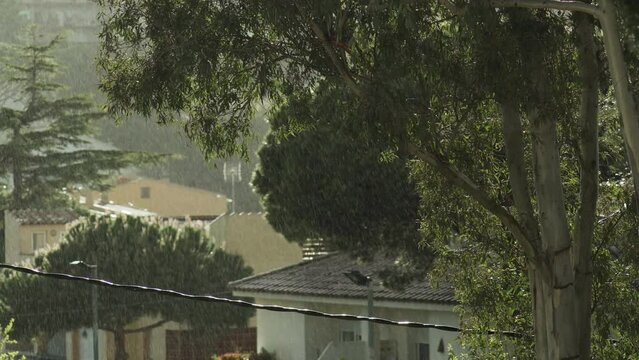 Beautiful view of the roofs of houses and crowns of trees in the rain. Rain on a sunny day. Green trees sway in the wind. Cinematic frame. Video background. Calm and tranquility. Cozy atmosphere.