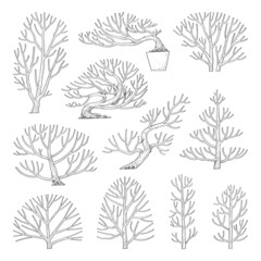 Hand drawn vector set of side view trees.