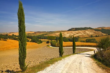 Fotobehang Val d'Orcia, Toscana, Italy. Panorami © anghifoto