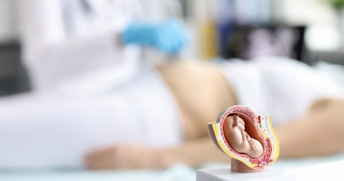 Doctor conducts ultrasound examination of pregnant woman in clinic closeup