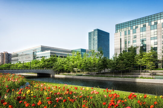 Modern city business buildings and flower foreground