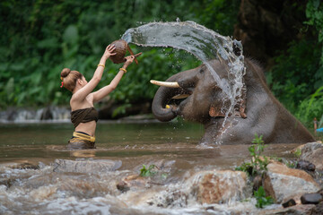 Naklejka na ściany i meble A female bathing elephant by river
