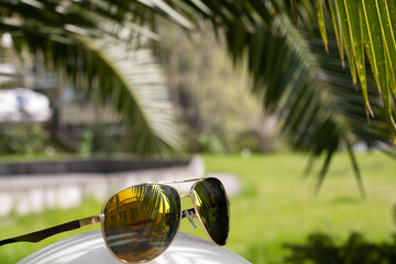 Sunglasses with reflection of palm and building. Palm on the background.