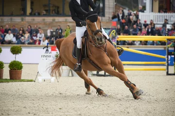 Fotobehang Paardrijden view on an equestrian show jumping competition  © AUFORT Jérome