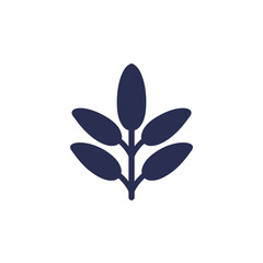Sage icon on white, vector