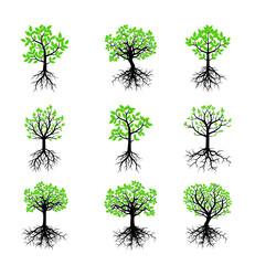 Set spring Trees Outline Illustration.