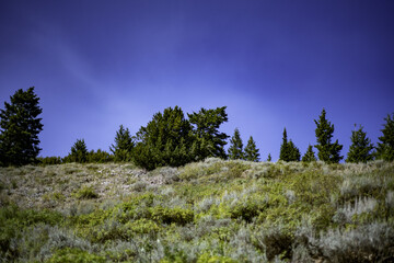 Landscape of forested mountains in the evening