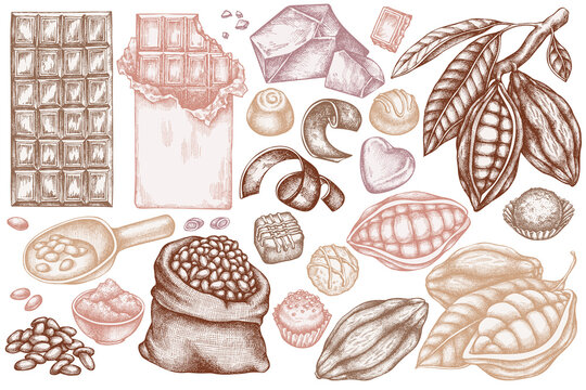 Vector set of hand drawn pastel cocoa beans, cocoa, chocolate, chocolate candies