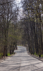 scenic path leading to the park