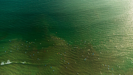 Surferzy w oceanie z deskami, widok z drona. - obrazy, fototapety, plakaty